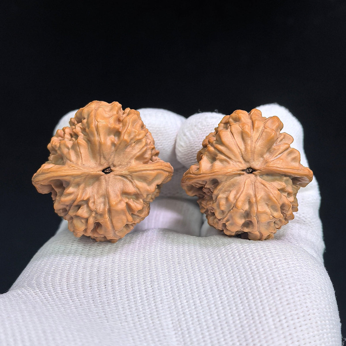 “Xiaocunzhang” Mini Official Hat Wenwan Walnut Pair | 32.0mm × 30.0mm | GM-SY1G1 - ThePatinaProject