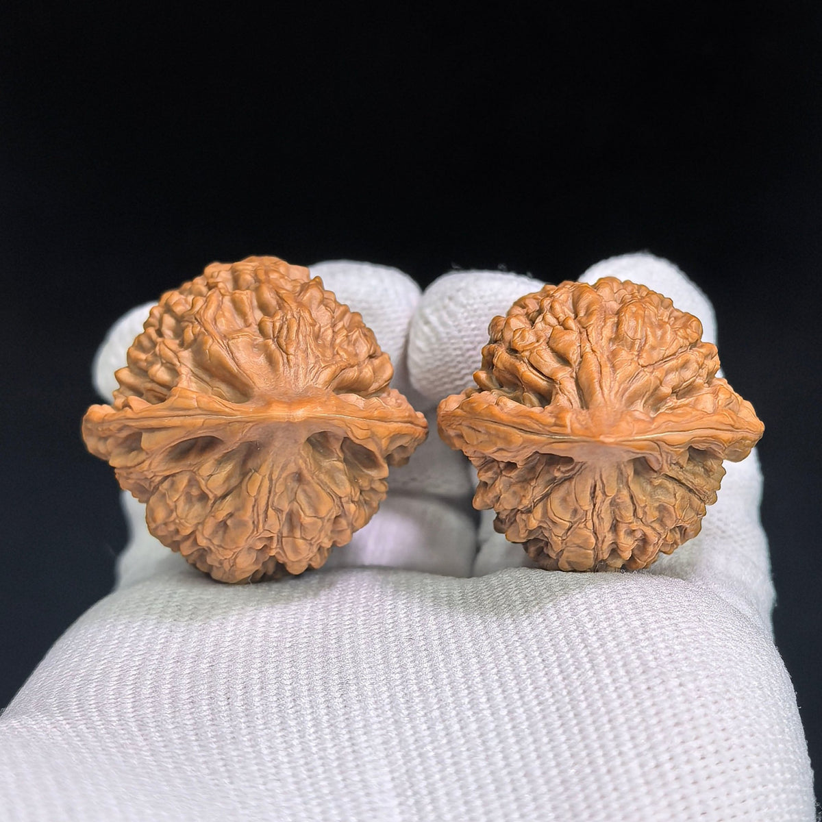 “Xiaocunzhang” Mini Official Hat Wenwan Walnut Pair | 32.0mm × 30.0mm | GM-SY1G1 - ThePatinaProject