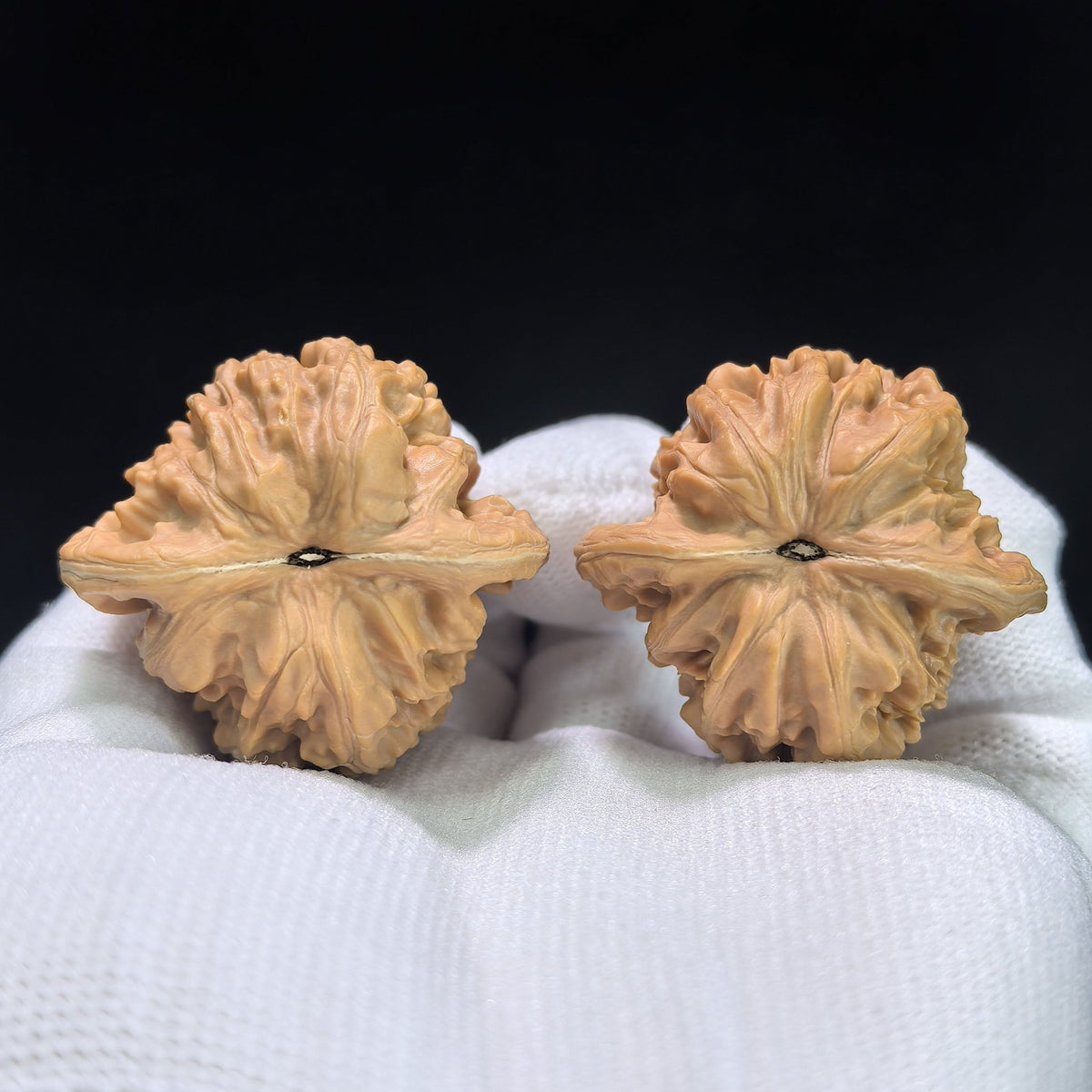 "Xiayun Ridge" Xiayunling Wenwan Walnuts (Pair) | 38.0mm x 35.0mm | Stock ID: XYL-1101 - ThePatinaProject
