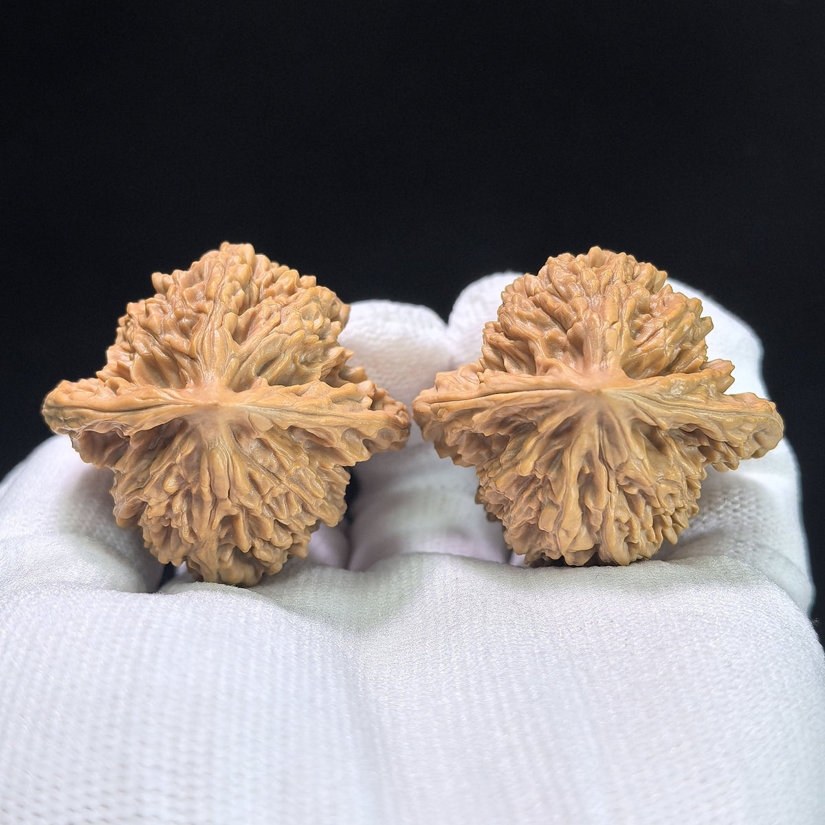 "Xiayun Ridge" Xiayunling Wenwan Walnuts (Pair) | 40.0mm x 38.0mm | Stock ID: XYL-1103 - ThePatinaProject