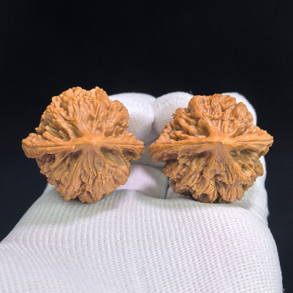 “Xiayunling” Tall-Profile Wenwan Walnuts Pair | 37.0mm × 33.0mm | XYL-SY1G4 - ThePatinaProject