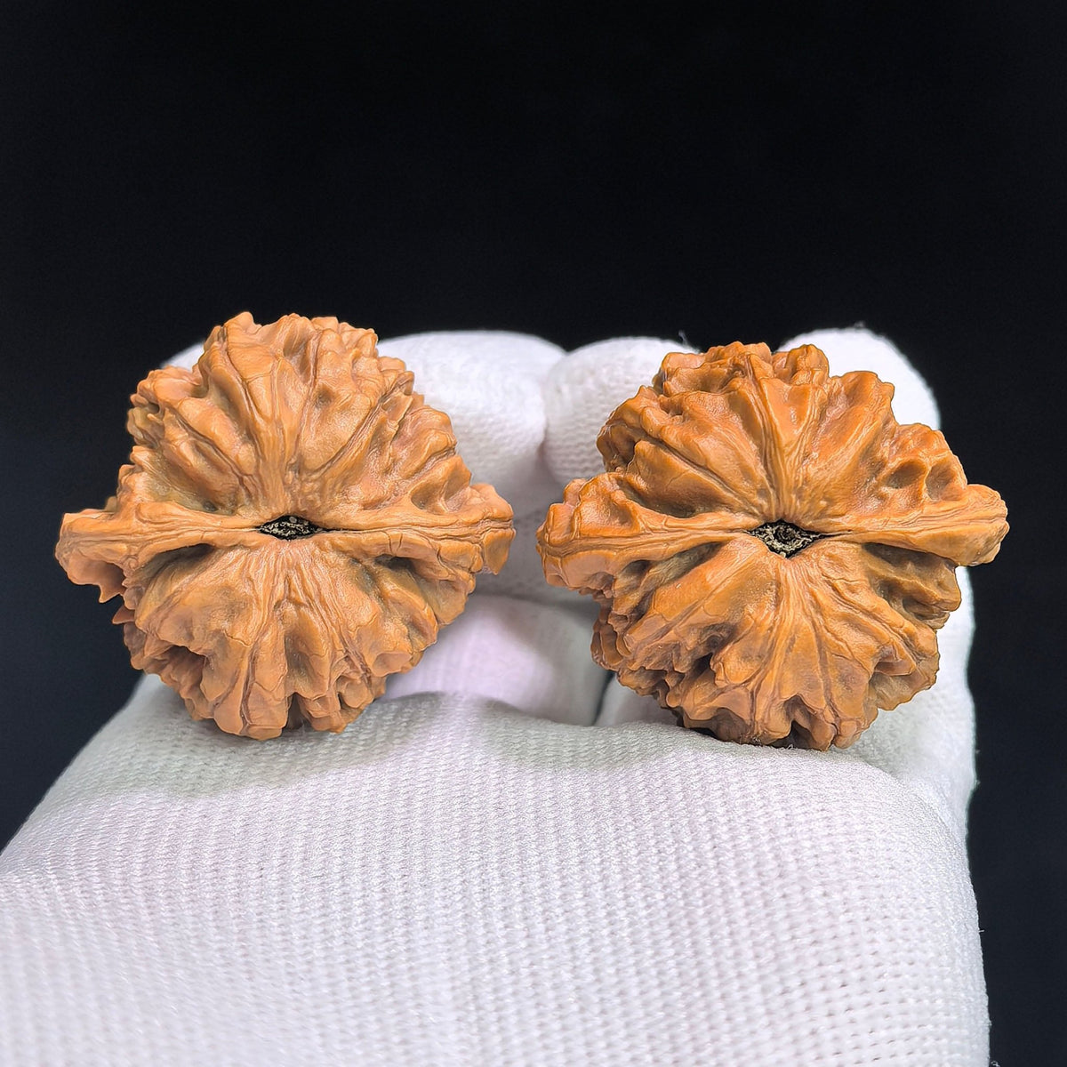 “Xiayunling” Tall-Profile Wenwan Walnuts Pair | 37.0mm × 33.0mm | XYL-SY1G4 - ThePatinaProject