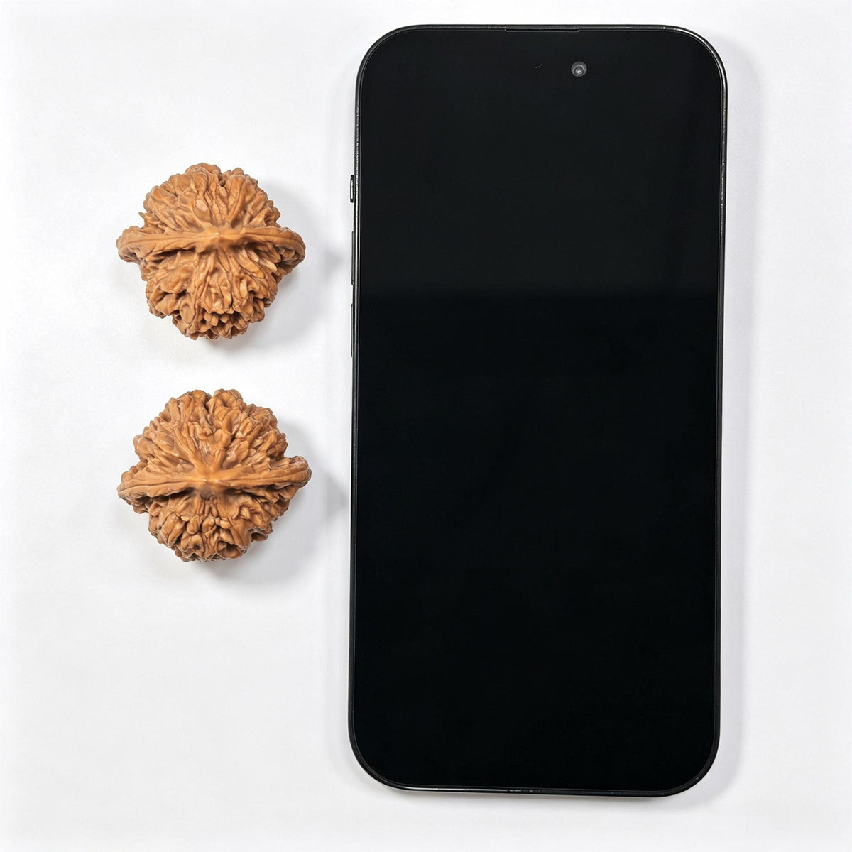 “Xiayunling” Tall-Profile Wenwan Walnuts Pair | 37.0mm × 33.0mm | XYL-SY1G4 - ThePatinaProject