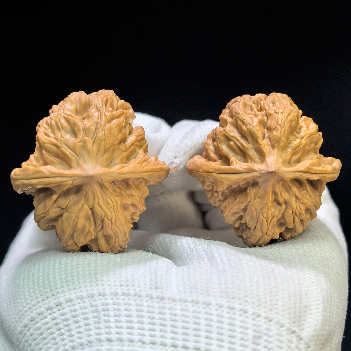 "Ye Lang" (Wild Wolf) YL-1601 Collector Lineage Wenwan Walnuts Pair | 35.0mm x 36.0mm | Stock ID: YL-1601 - ThePatinaProject