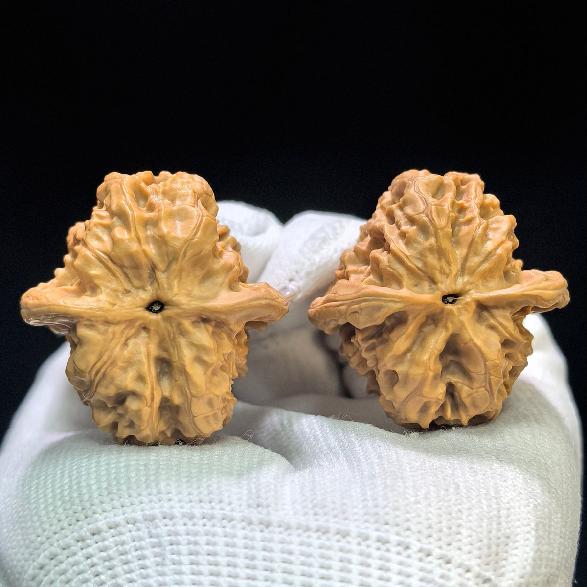 "Ye Lang" (Wild Wolf) YL-1601 Collector Lineage Wenwan Walnuts Pair | 35.0mm x 36.0mm | Stock ID: YL-1601 - ThePatinaProject