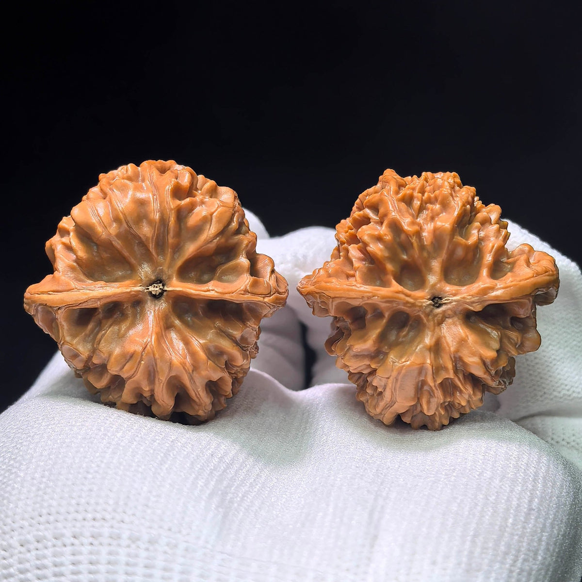 Ye Niu (Wild Bison) Scholar Walnuts Pair | 38.0mm x 39.0mm | Stock ID: YN-1405 - ThePatinaProject