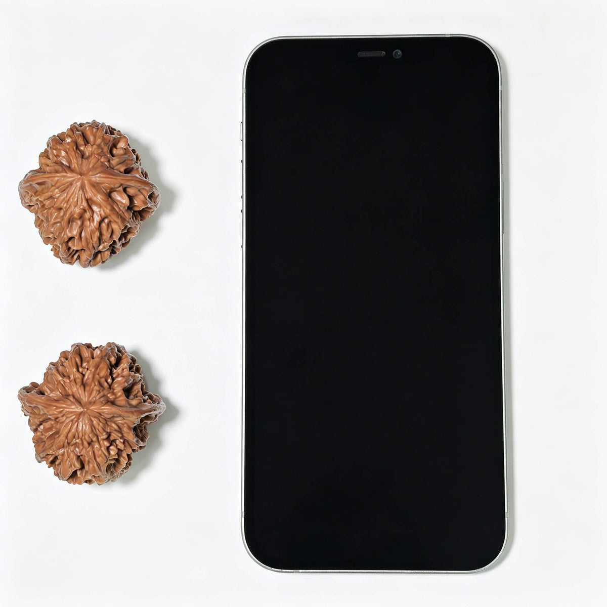 Ye Niu (Wild Bison) Scholar Walnuts Pair | 38.0mm x 39.0mm | Stock ID: YN-1405 - ThePatinaProject