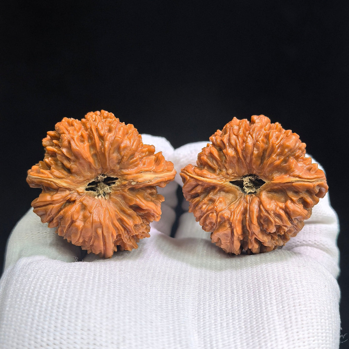 “Yi-San-Qi” Wenwan Walnut Pair | Compact Rounded 41.0mm × 40.0mm | YSQ-1601 - ThePatinaProject