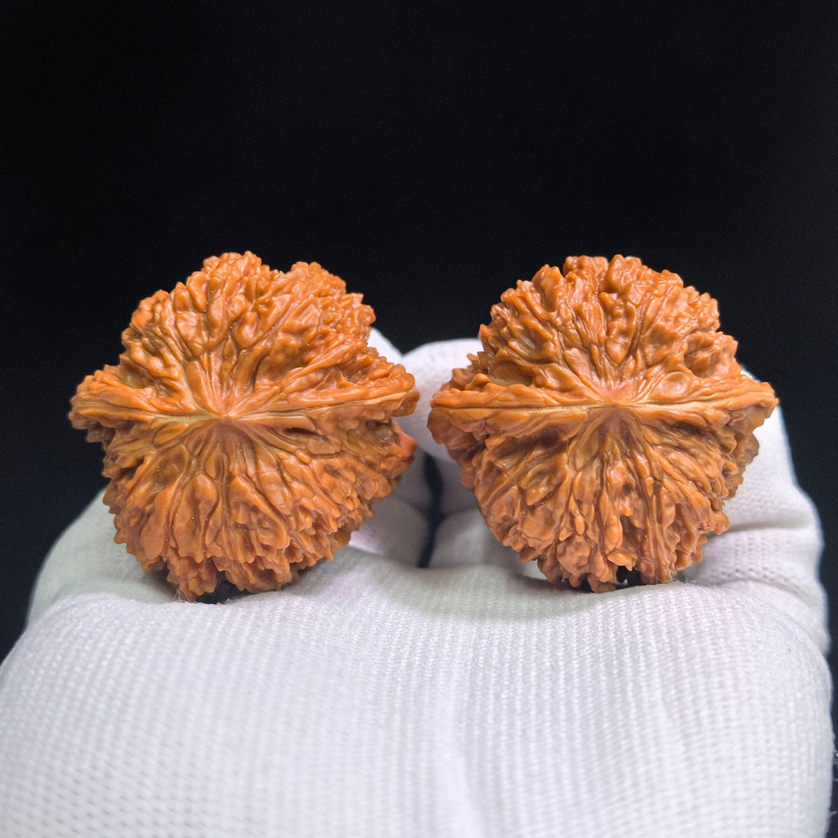 “Yi-San-Qi” Wenwan Walnut Pair | Compact Rounded 41.0mm × 40.0mm | YSQ-1601 - ThePatinaProject