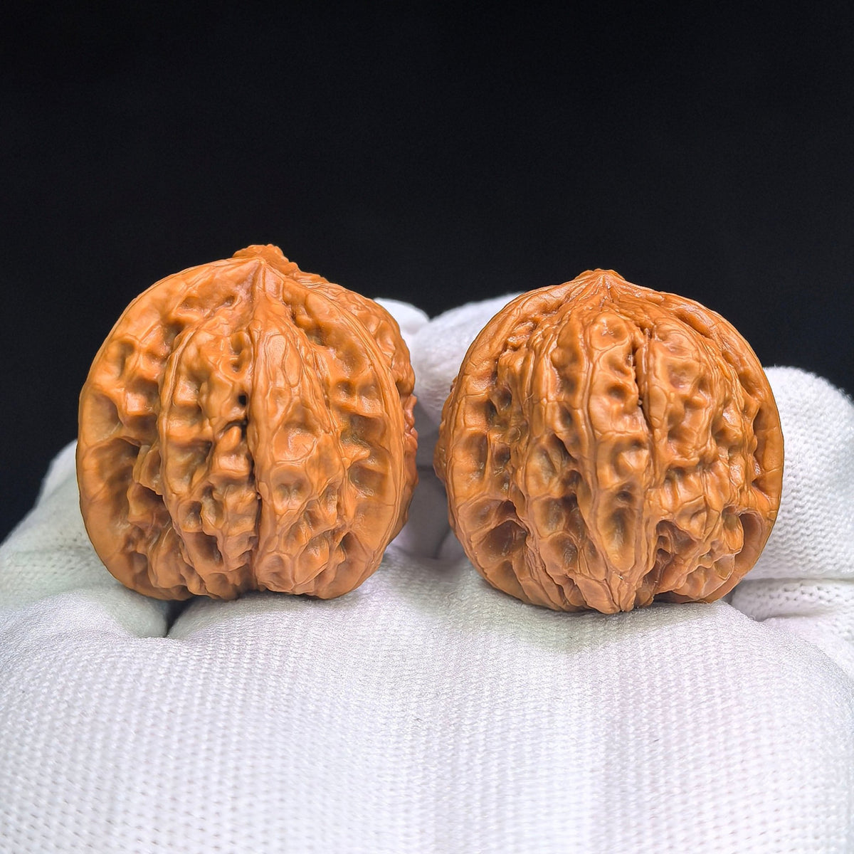 "Yu Hua Shi San Leng Ben" YHSSN-CG1A3E Mutational Lineage Wenwan Walnuts Pair | 37.0mm x 37.0mm | Stock ID: YHSSN-CG1A3E - ThePatinaProject