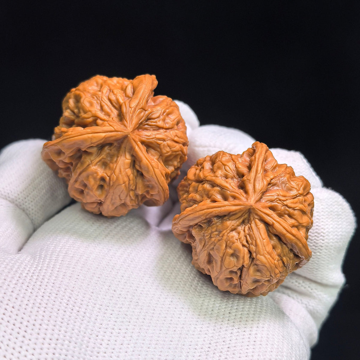 "Yu Hua Shi San Leng Ben" YHSSN-CG1A3E Mutational Lineage Wenwan Walnuts Pair | 37.0mm x 37.0mm | Stock ID: YHSSN-CG1A3E - ThePatinaProject
