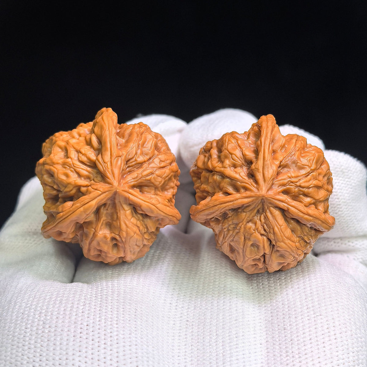 "Yu Hua Shi San Leng Ben" YHSSN-CG1A3E Mutational Lineage Wenwan Walnuts Pair | 37.0mm x 37.0mm | Stock ID: YHSSN-CG1A3E - ThePatinaProject