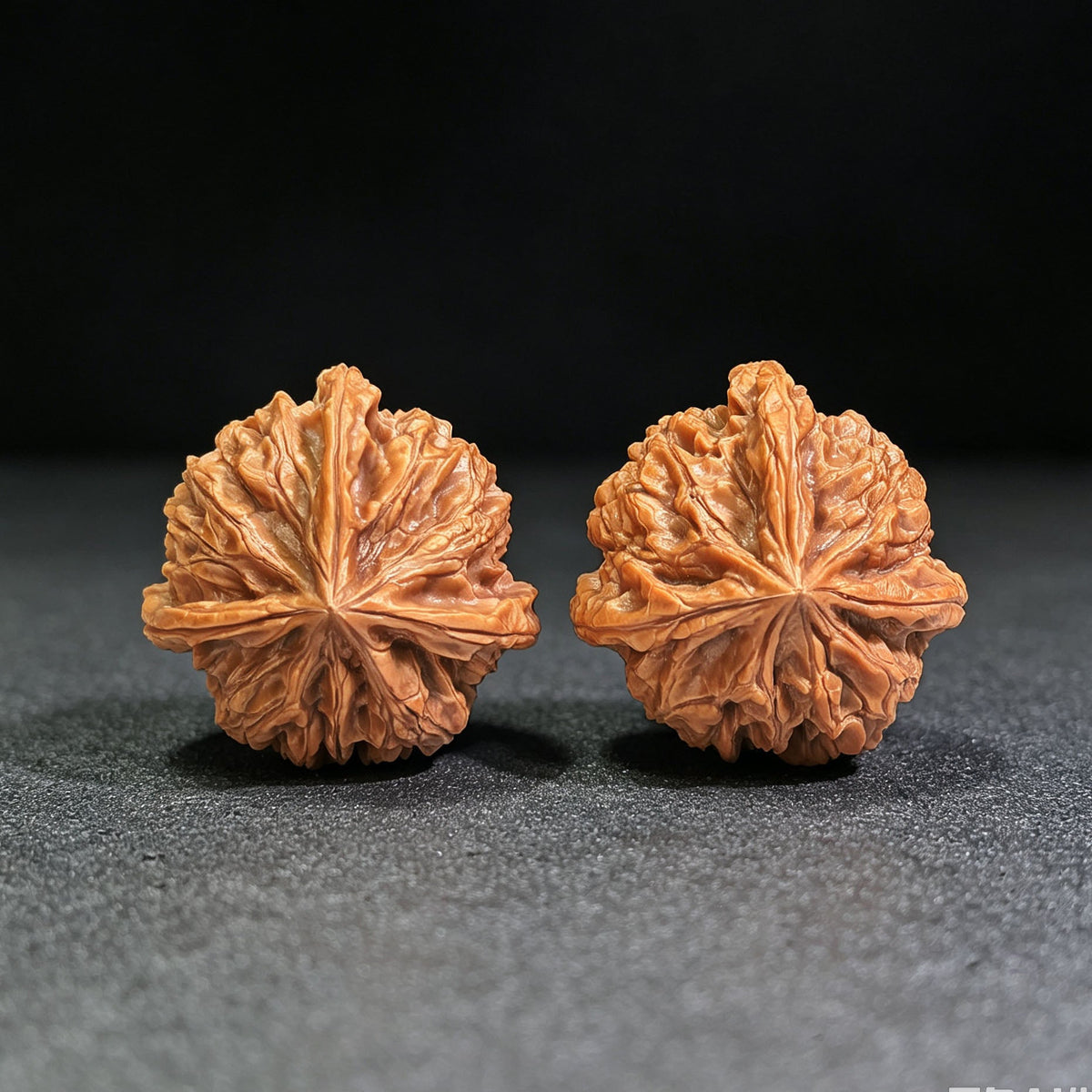 "Yu Xi San Leng Ding" YSSN-CG1A4E Mutational Lineage Wenwan Walnuts Pair | 37.0mm x 38.0mm | Stock ID: YSSN-CG1A4E - ThePatinaProject