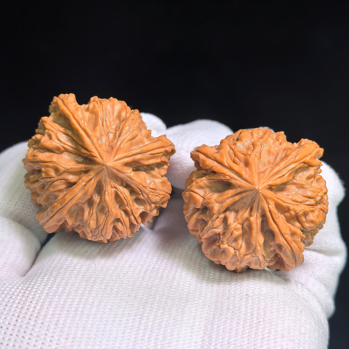 "Yu Xi San Leng Ding" YSSN-CG1A4E Mutational Lineage Wenwan Walnuts Pair | 37.0mm x 38.0mm | Stock ID: YSSN-CG1A4E - ThePatinaProject
