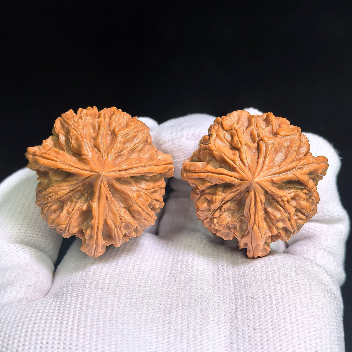 "Yu Xi San Leng Ding" YSSN-CG1A4E Mutational Lineage Wenwan Walnuts Pair | 37.0mm x 38.0mm | Stock ID: YSSN-CG1A4E - ThePatinaProject