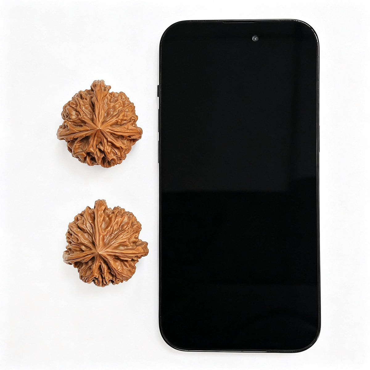 "Yu Xi San Leng Ding" YSSN-CG1A4E Mutational Lineage Wenwan Walnuts Pair | 37.0mm x 38.0mm | Stock ID: YSSN-CG1A4E - ThePatinaProject