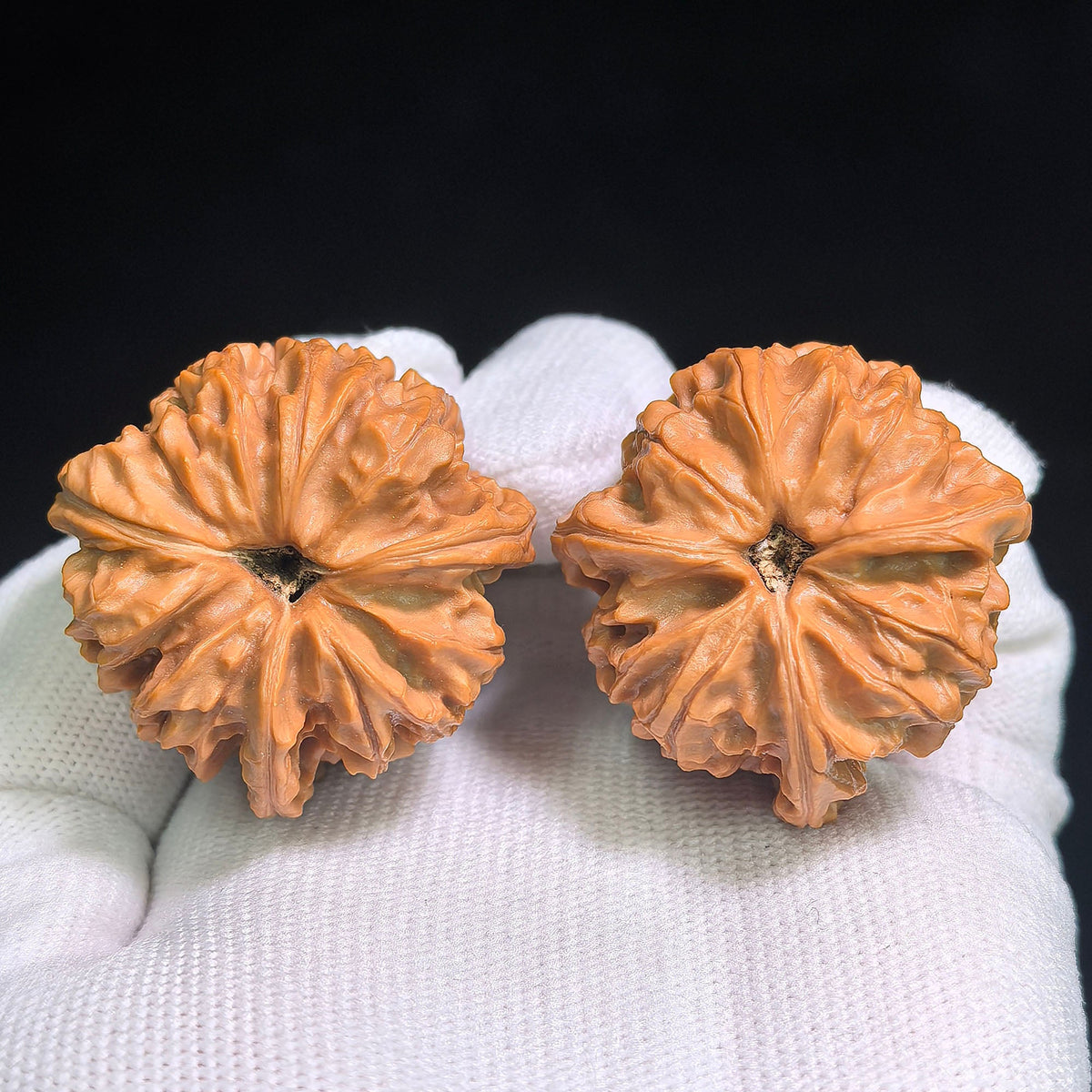 "Yu Xi San Leng Ding" YSSN-CG1A4E Mutational Lineage Wenwan Walnuts Pair | 37.0mm x 38.0mm | Stock ID: YSSN-CG1A4E - ThePatinaProject