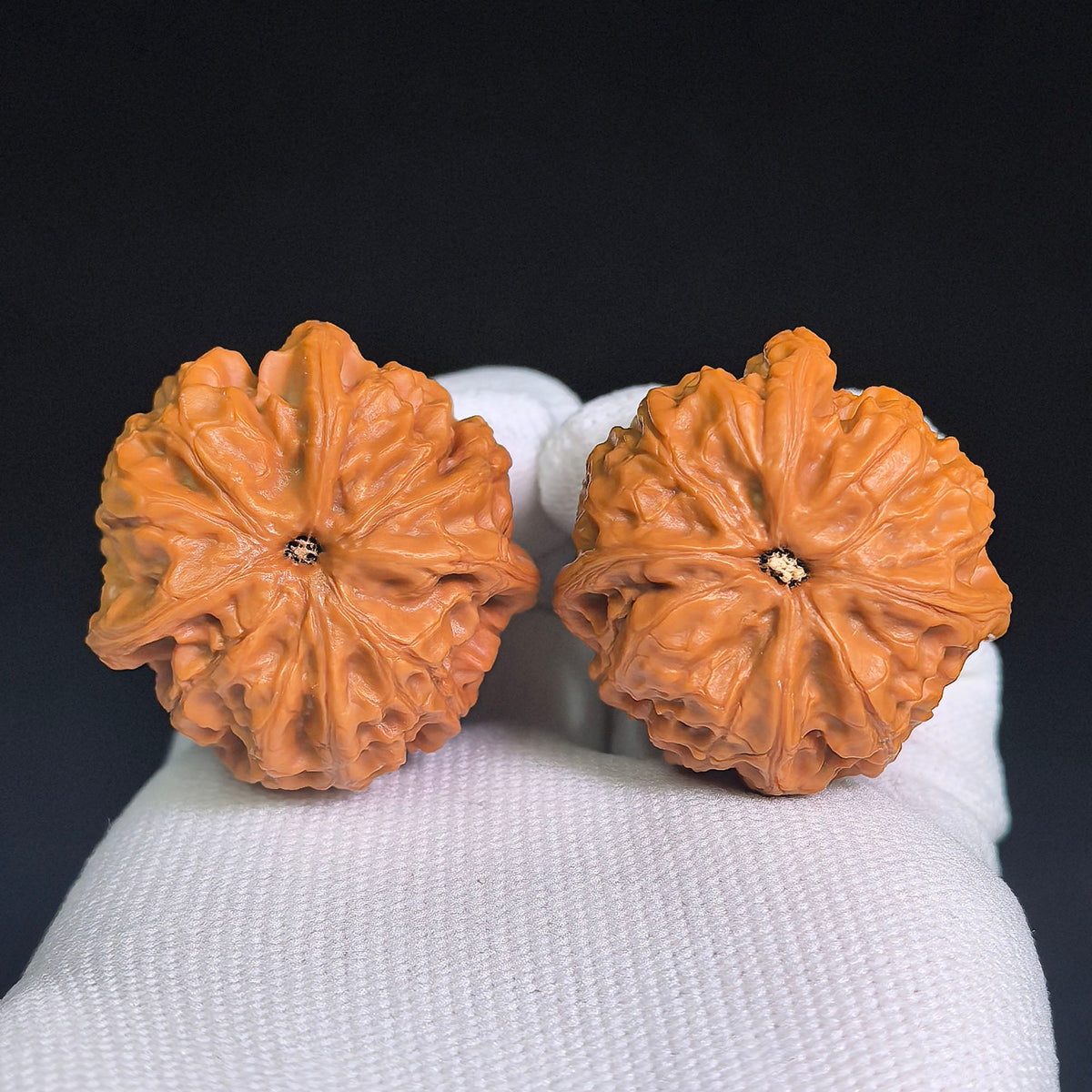 “Yuhua Stone” Three-Ridge Wenwan Walnuts Pair | 37.0mm × 36.0mm | YHSSN-CWC8E - ThePatinaProject