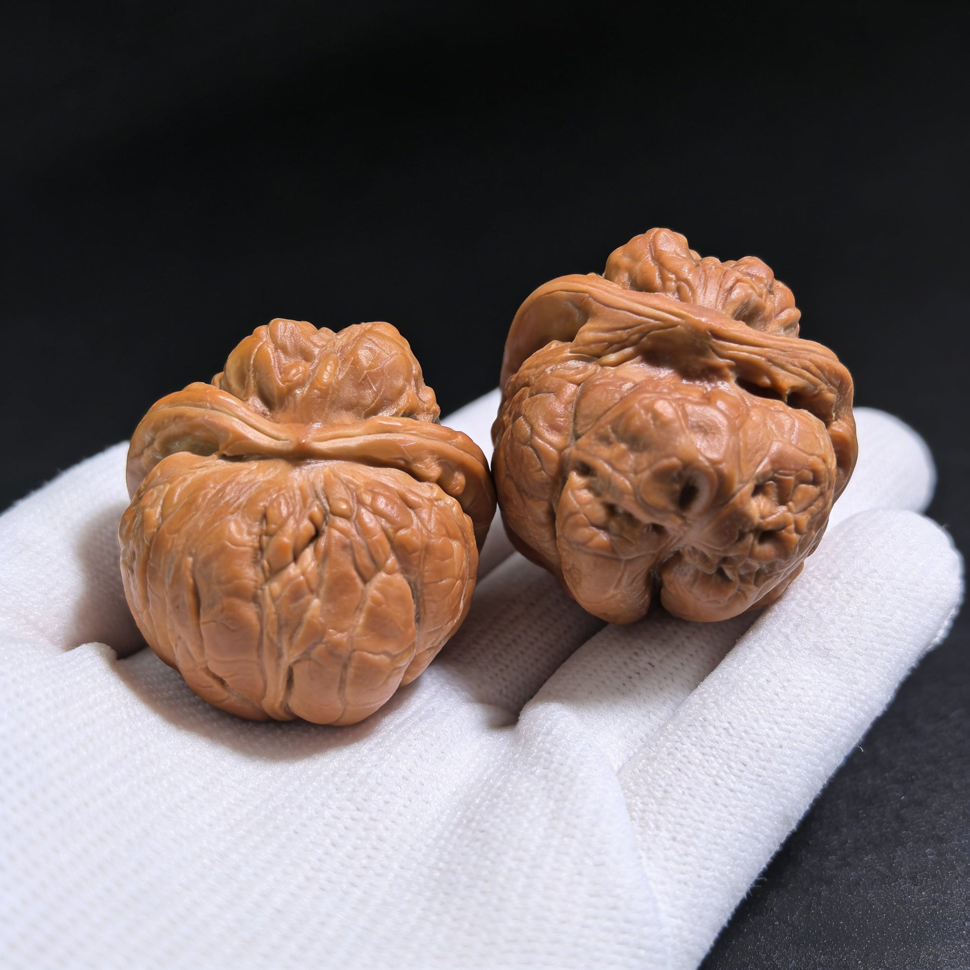 ZenWalnut The Rare "Frog Snake" Collector's Pair | 33.0mm x 34.0mm x 30.0mm | WS-001 - ThePatinaProject