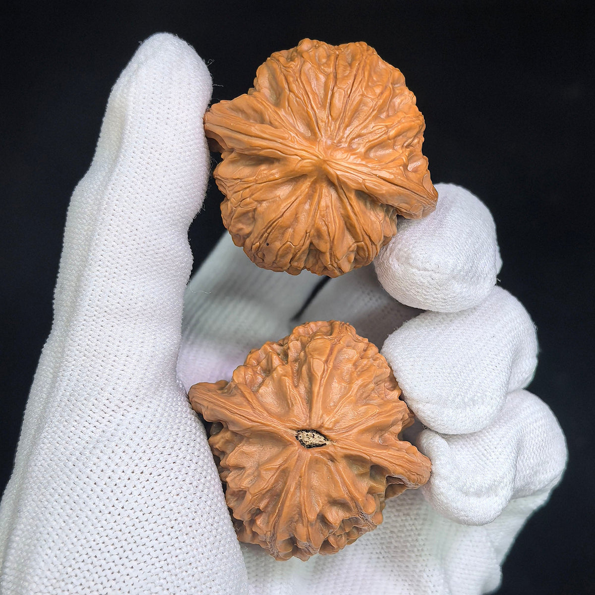 "Zhan Gu / War Drum" Heirloom Collection Wenwan Walnuts Pair | 41.0mm x 39.0mm | ZG-1201C - ThePatinaProject
