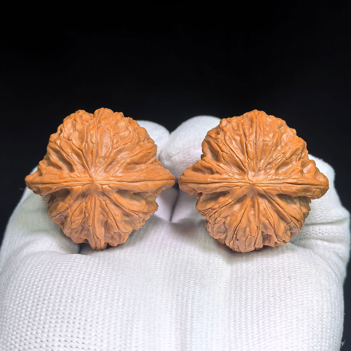 "Zhan Gu / War Drum" Heirloom Collection Wenwan Walnuts Pair | 41.0mm x 39.0mm | ZG-1201C - ThePatinaProject