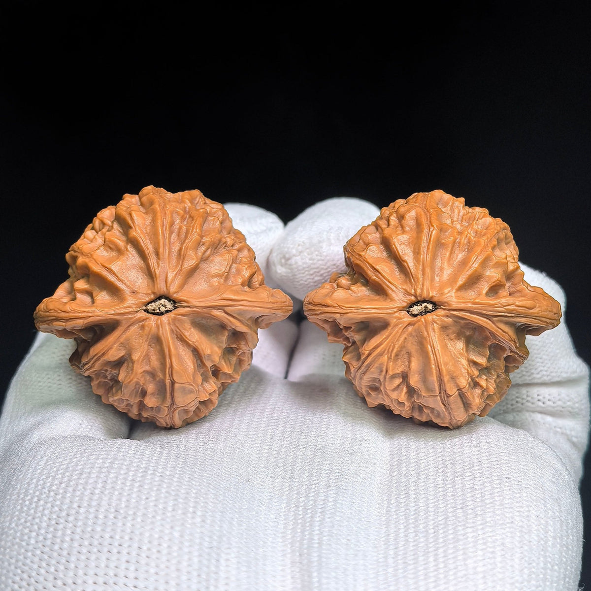 "Zhan Gu / War Drum" Heirloom Collection Wenwan Walnuts Pair | 41.0mm x 39.0mm | ZG-1201C - ThePatinaProject