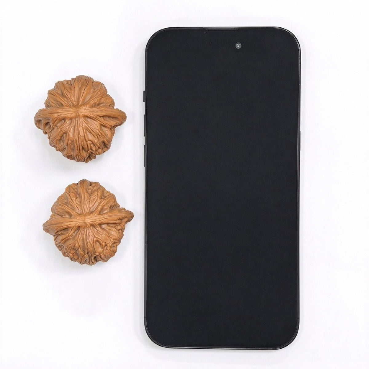 "Zhan Gu / War Drum" Heirloom Collection Wenwan Walnuts Pair | 41.0mm x 39.0mm | ZG-1201C - ThePatinaProject