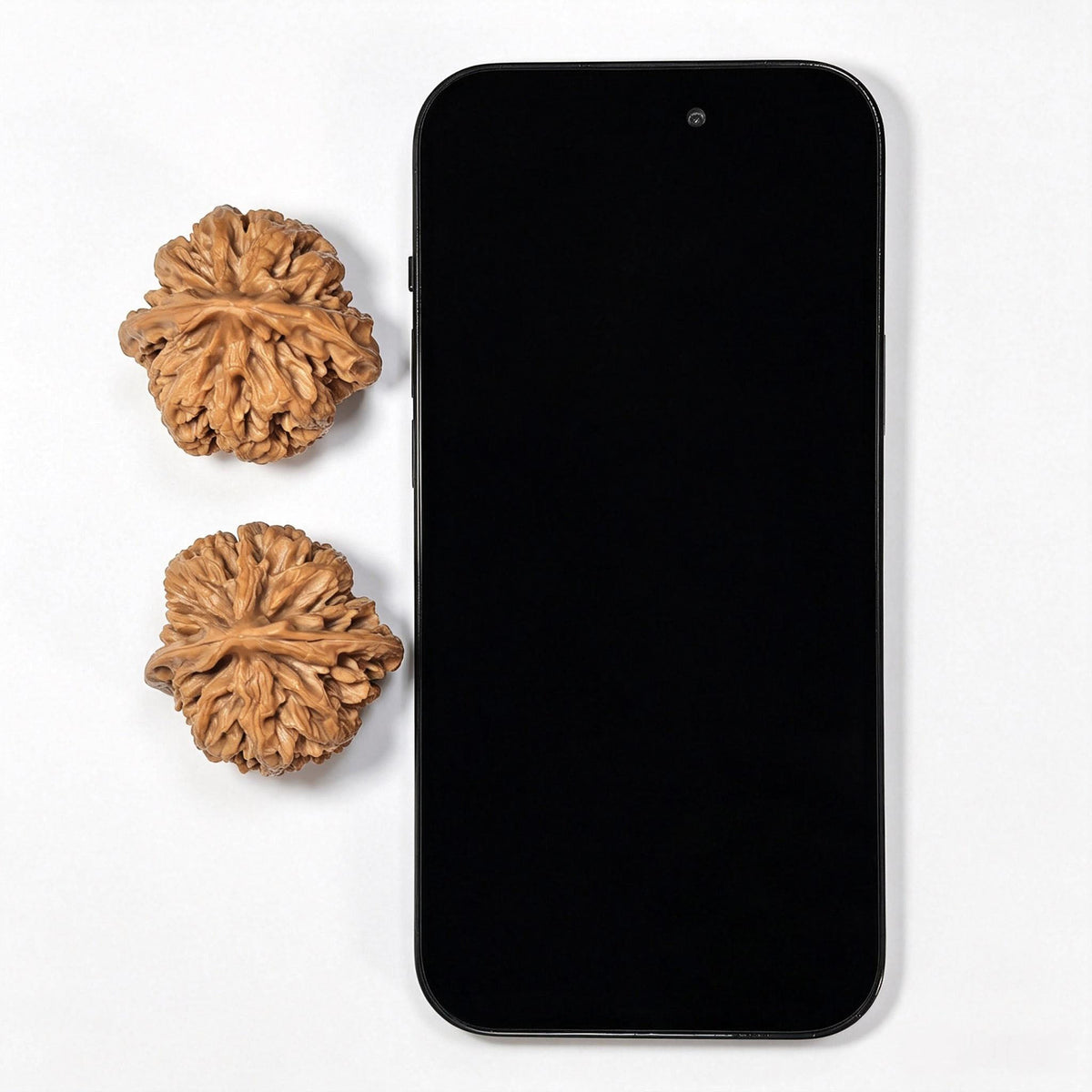 Zhuangyuan Guan Wenwan Walnuts Pair | Rare Variety | 38.0mm × 37.0mm | ZYG-SY1D3 - ThePatinaProject