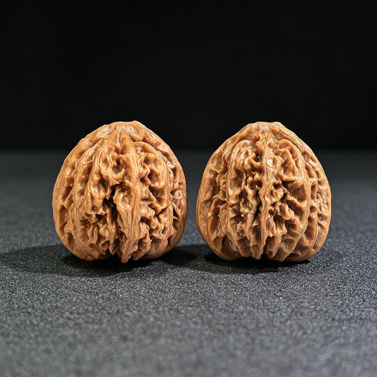 Zhuangyuan Guan Wenwan Walnuts Pair | Rare Variety | 38.0mm × 37.0mm | ZYG-SY1D3 - ThePatinaProject