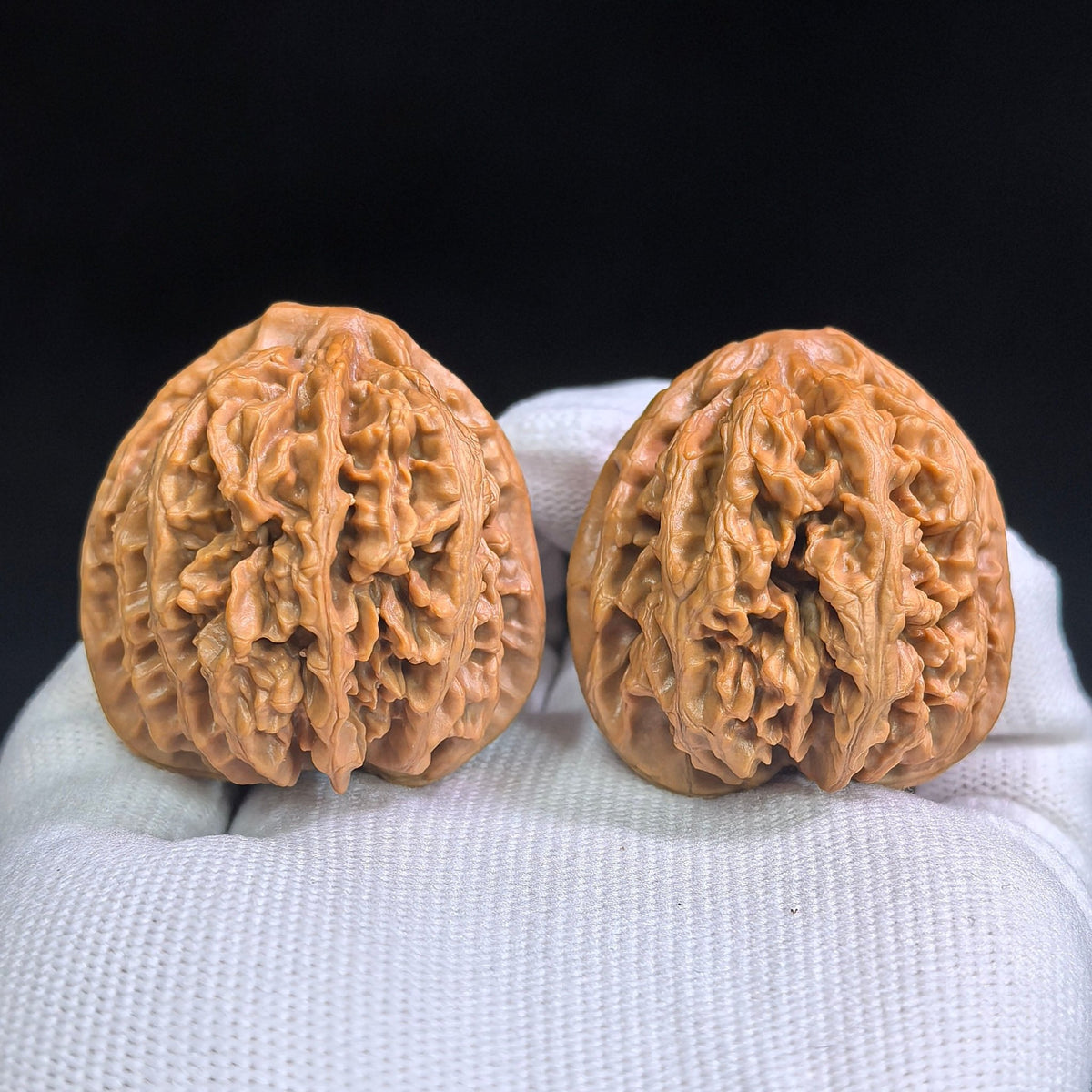Zhuangyuan Guan Wenwan Walnuts Pair | Rare Variety | 38.0mm × 37.0mm | ZYG-SY1D3 - ThePatinaProject