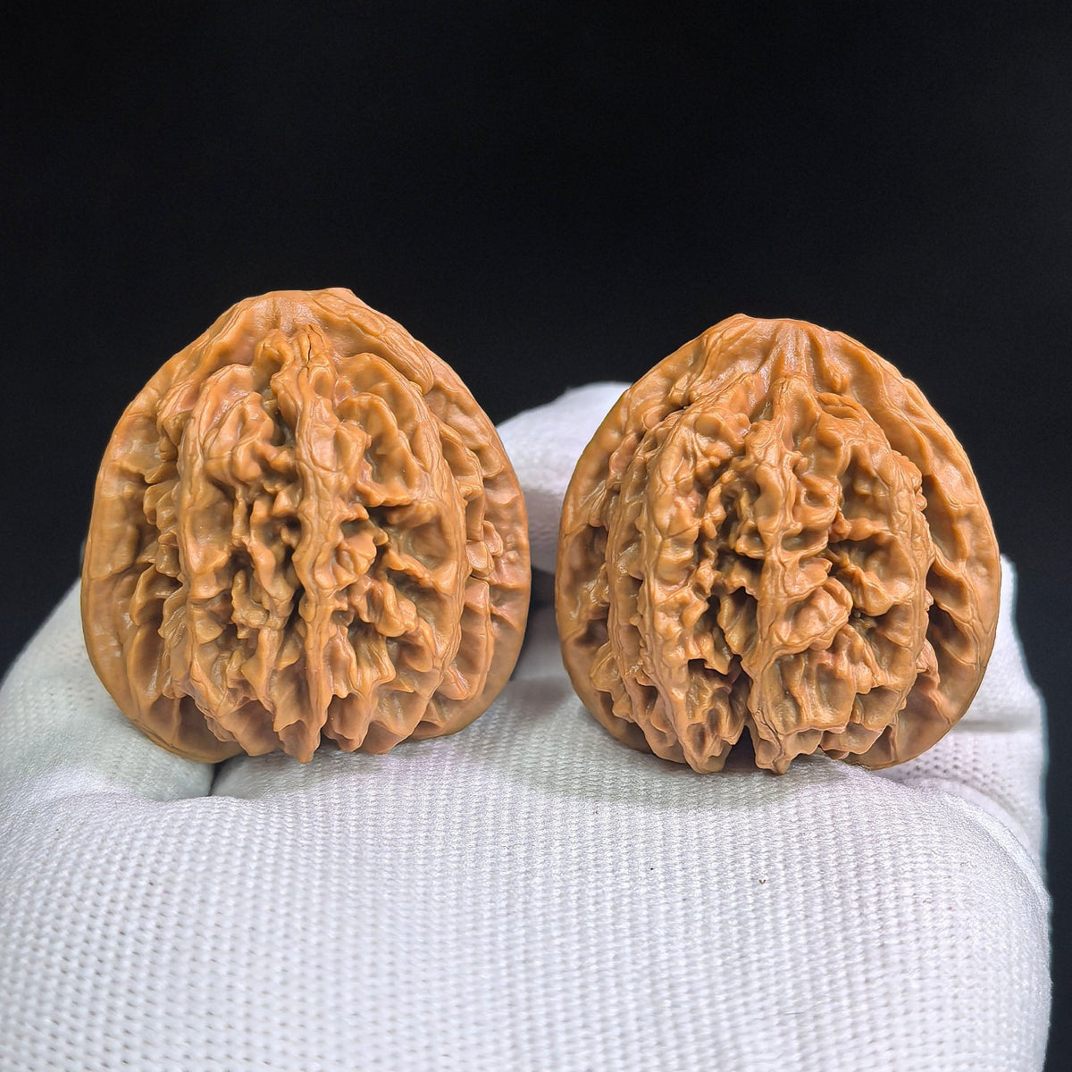 Zhuangyuan Guan Wenwan Walnuts Pair | Rare Variety | 38.0mm × 37.0mm | ZYG-SY1D3 - ThePatinaProject