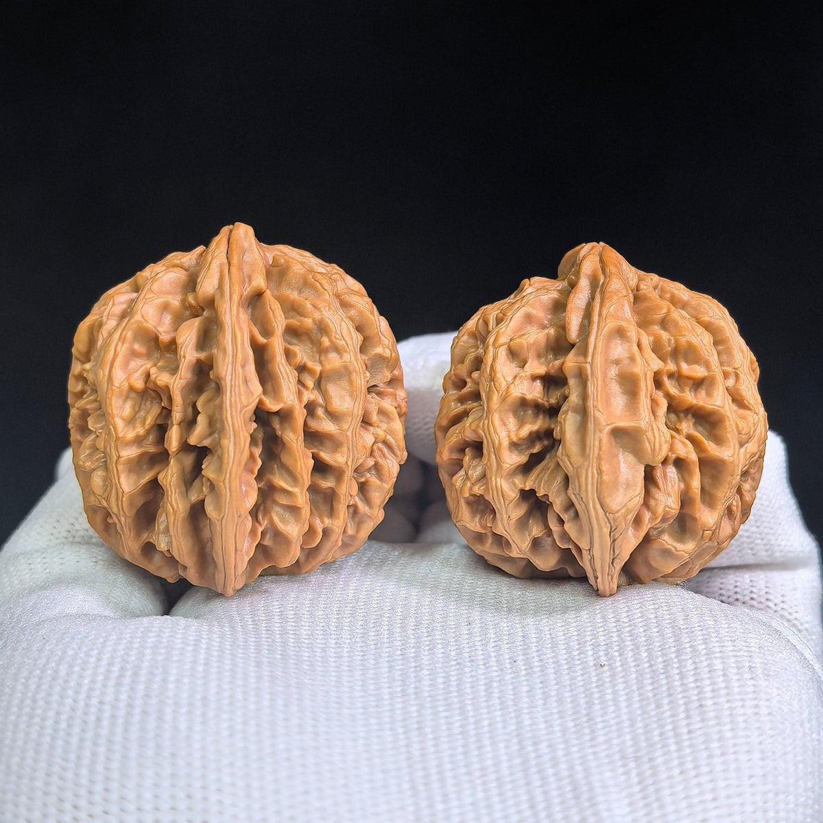 Zhuangyuan Guan Wenwan Walnuts Pair | Rare Variety | 38.0mm × 37.0mm | ZYG-SY1D3 - ThePatinaProject